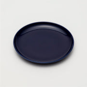 1600 LR/014 Plate 250 (Dark Blue)