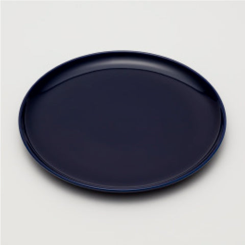 1600 LR/014 Plate 250 (Dark Blue)
